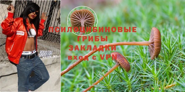 прущая мука Алексин