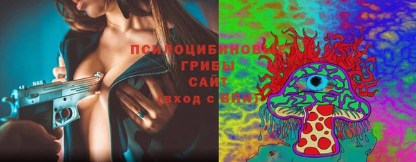 дурь Алзамай