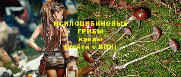 прущая мука Алексин