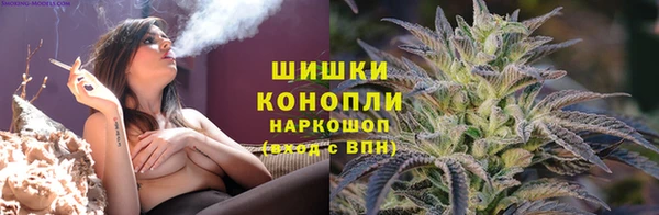 дурь Алзамай