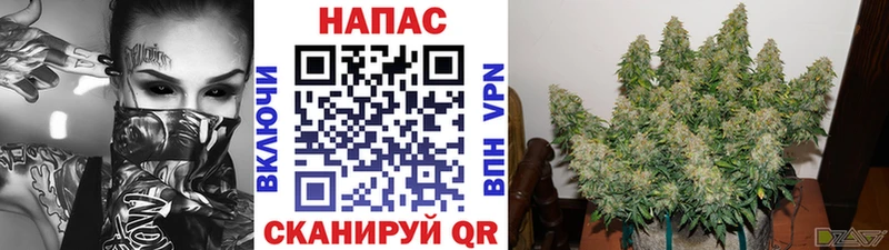 где можно купить   МЕГА онион  Шишки марихуана Ganja  Сухой Лог 